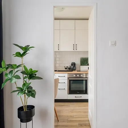 Silent Wave Work & Long Apartment Timişoara