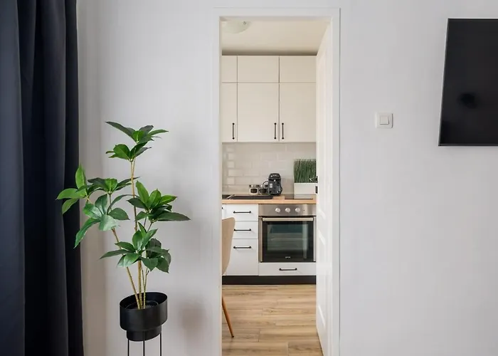 Silent Wave Appartamento Timisoara